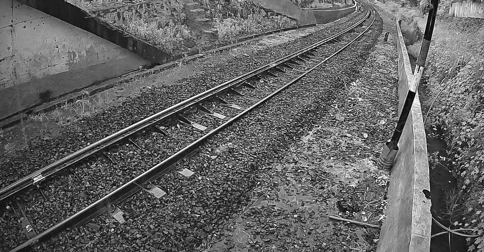 2026-05-06 06:00:36.jpg